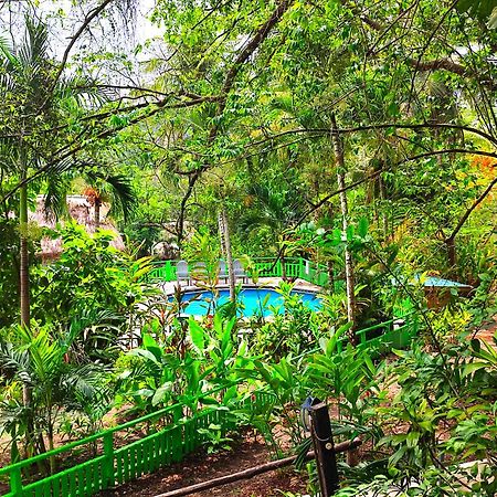 Maya Mountain Lodge San Ignacio Extérieur photo