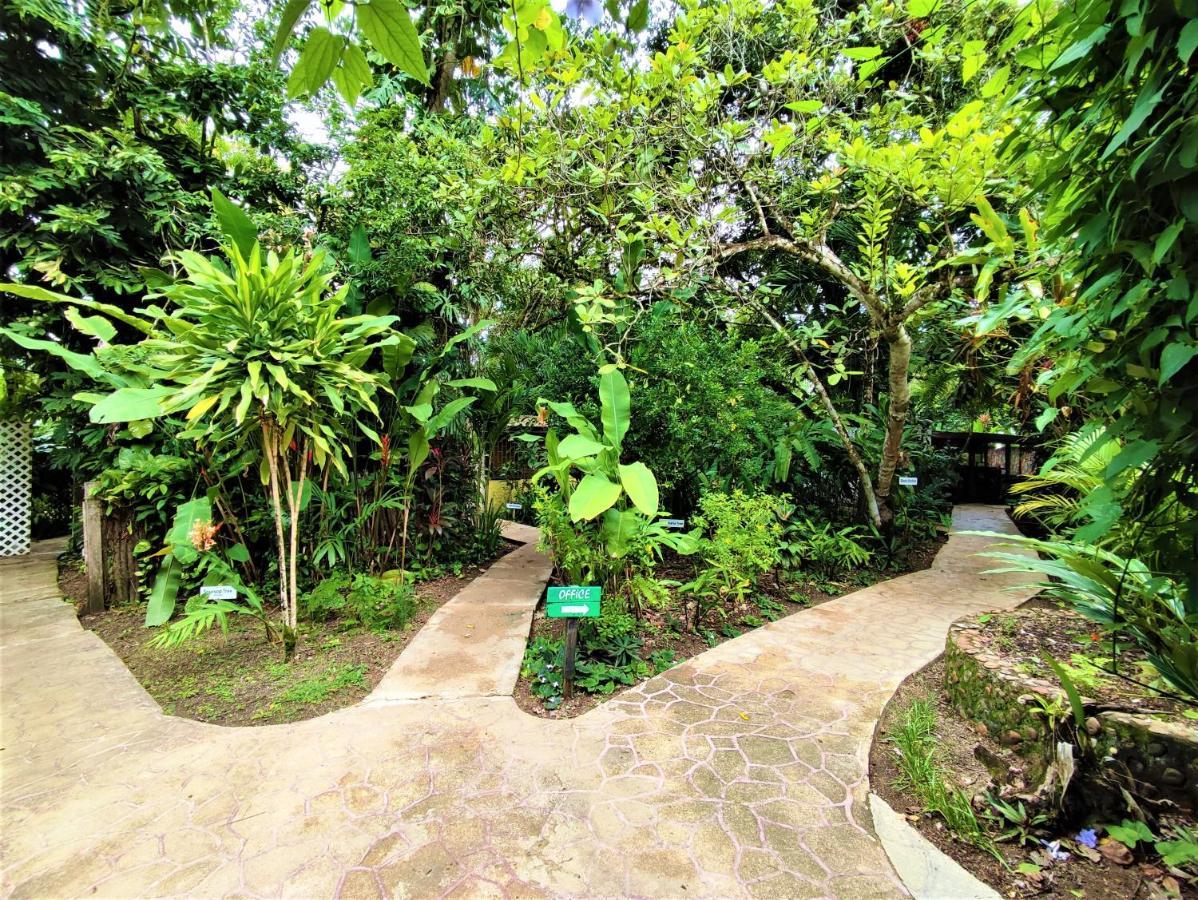 Maya Mountain Lodge San Ignacio Extérieur photo