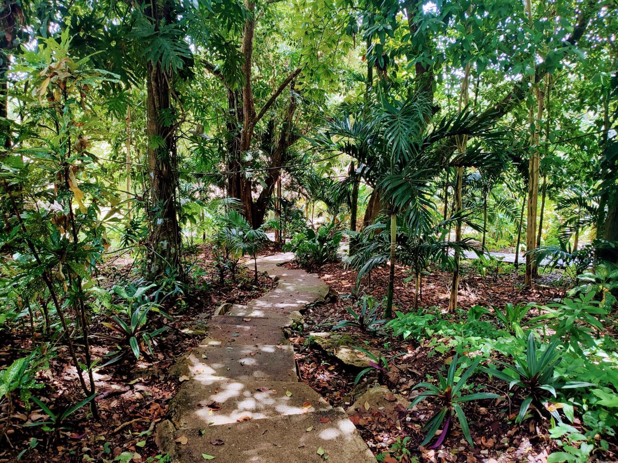 Maya Mountain Lodge San Ignacio Extérieur photo