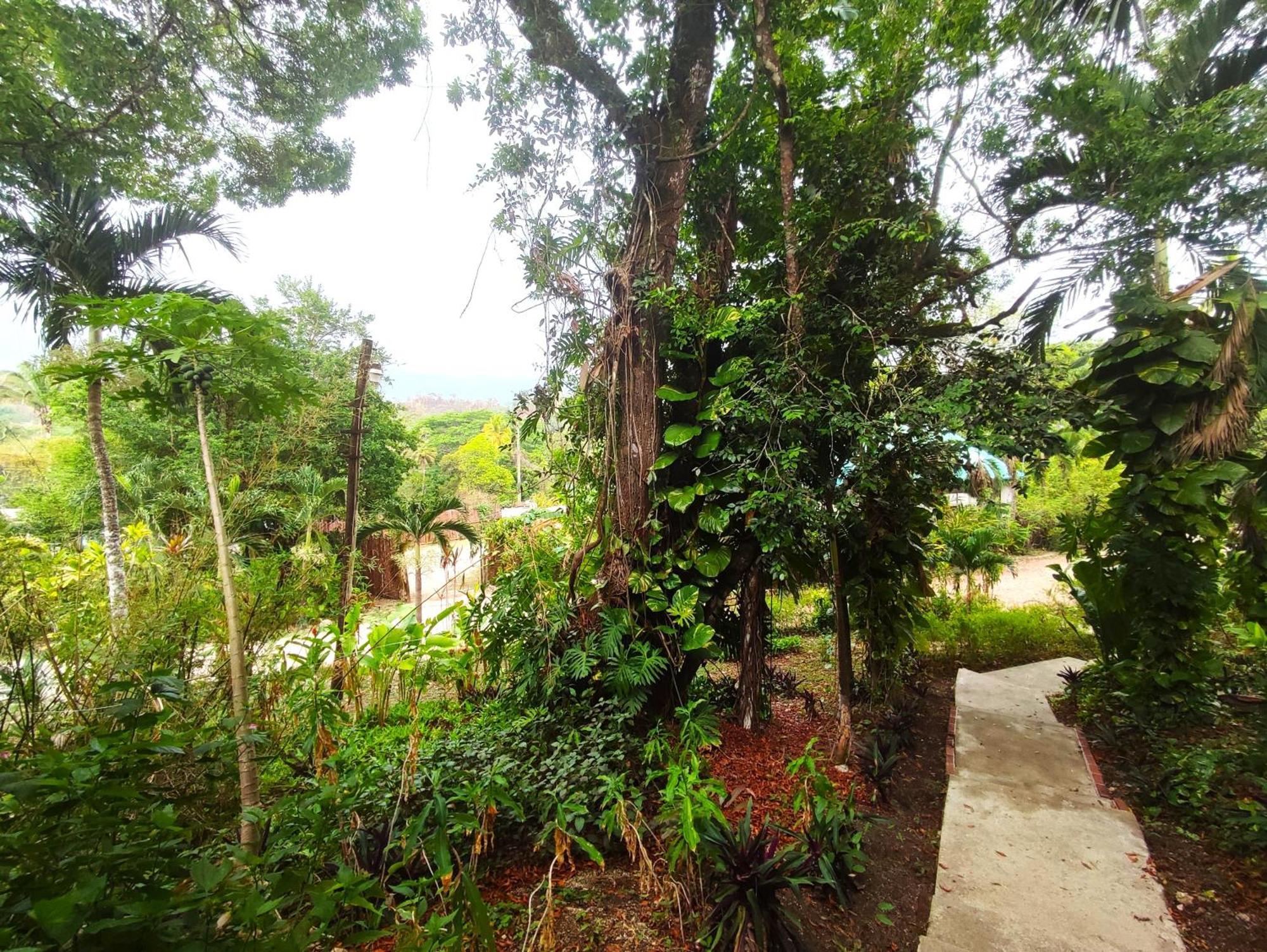 Maya Mountain Lodge San Ignacio Extérieur photo