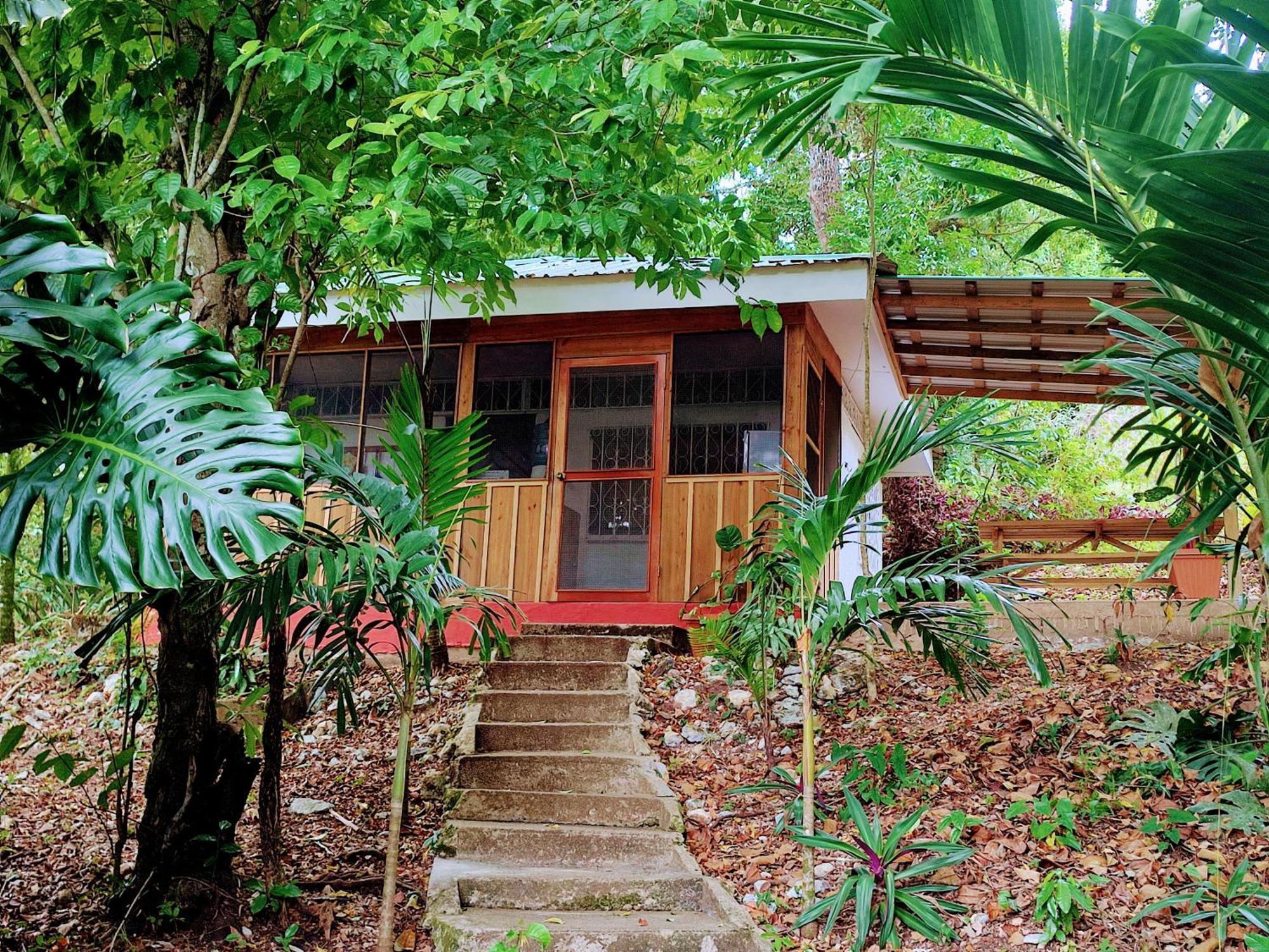 Maya Mountain Lodge San Ignacio Extérieur photo