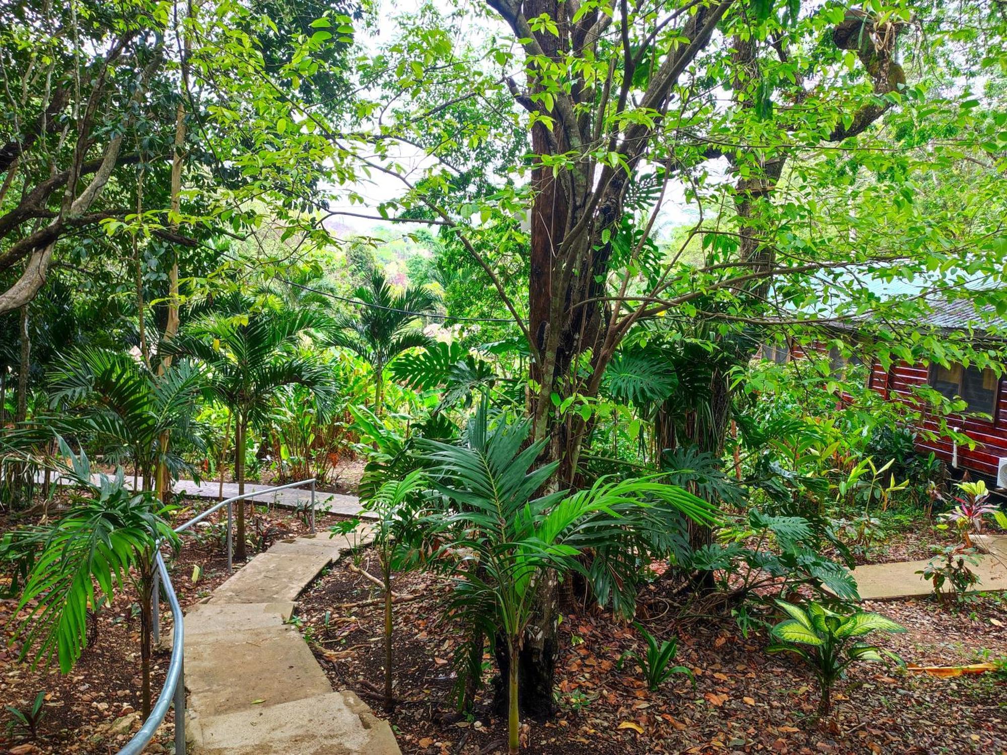 Maya Mountain Lodge San Ignacio Extérieur photo