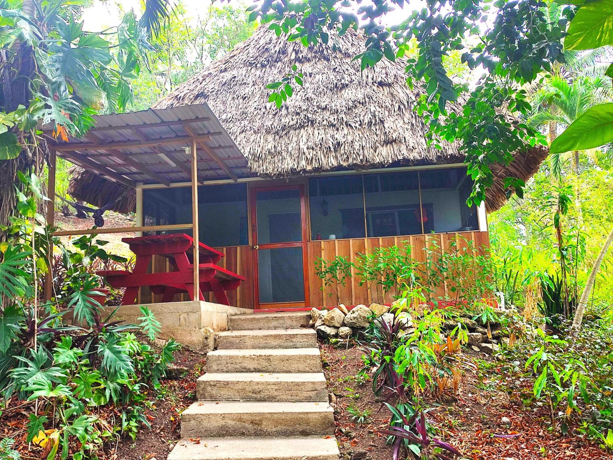 Maya Mountain Lodge San Ignacio Extérieur photo