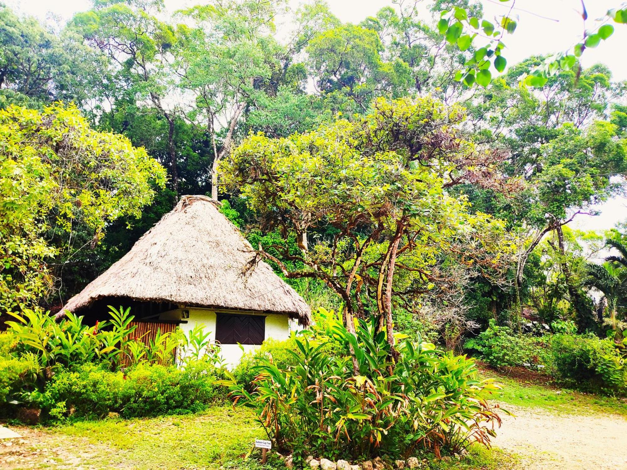 Maya Mountain Lodge San Ignacio Extérieur photo