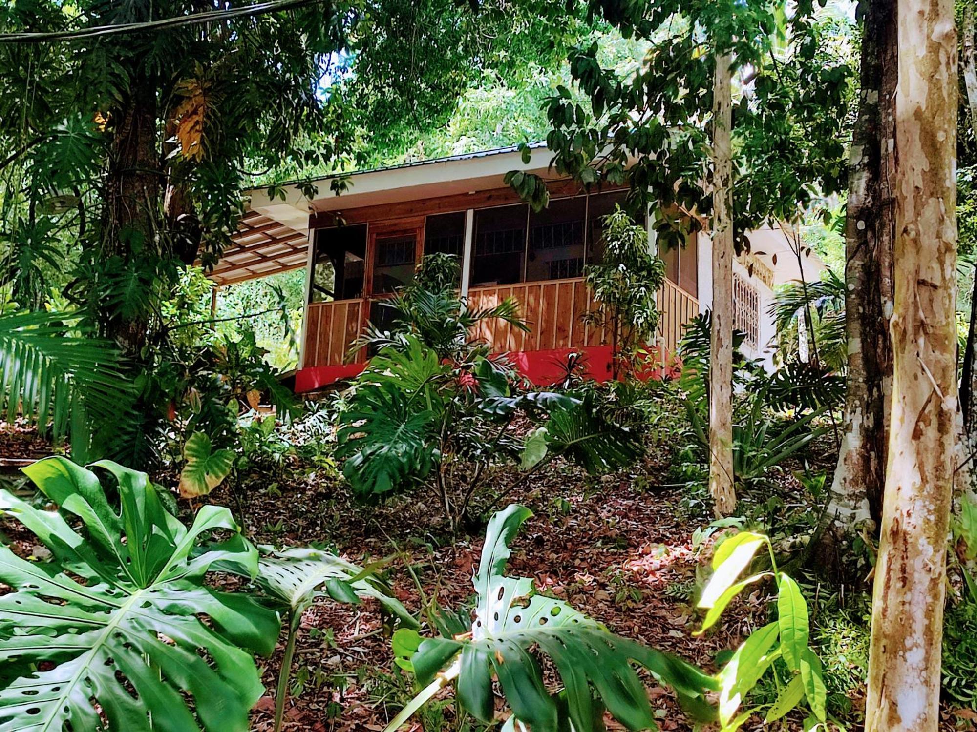 Maya Mountain Lodge San Ignacio Extérieur photo