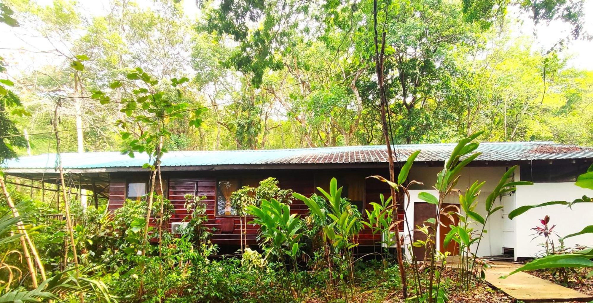 Maya Mountain Lodge San Ignacio Extérieur photo