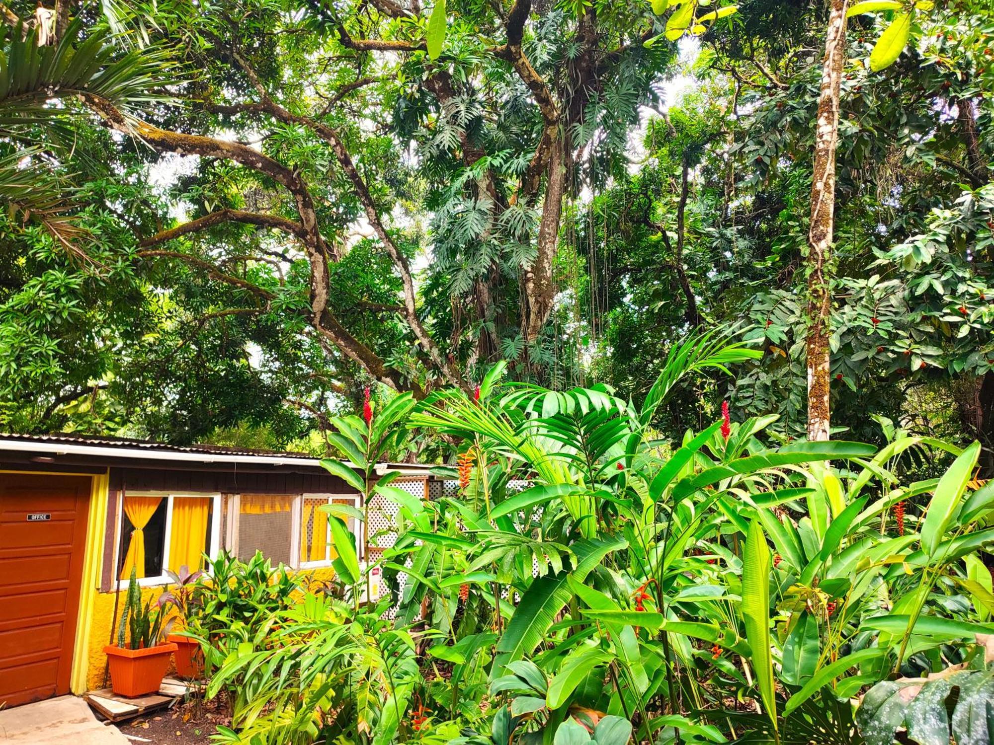 Maya Mountain Lodge San Ignacio Extérieur photo