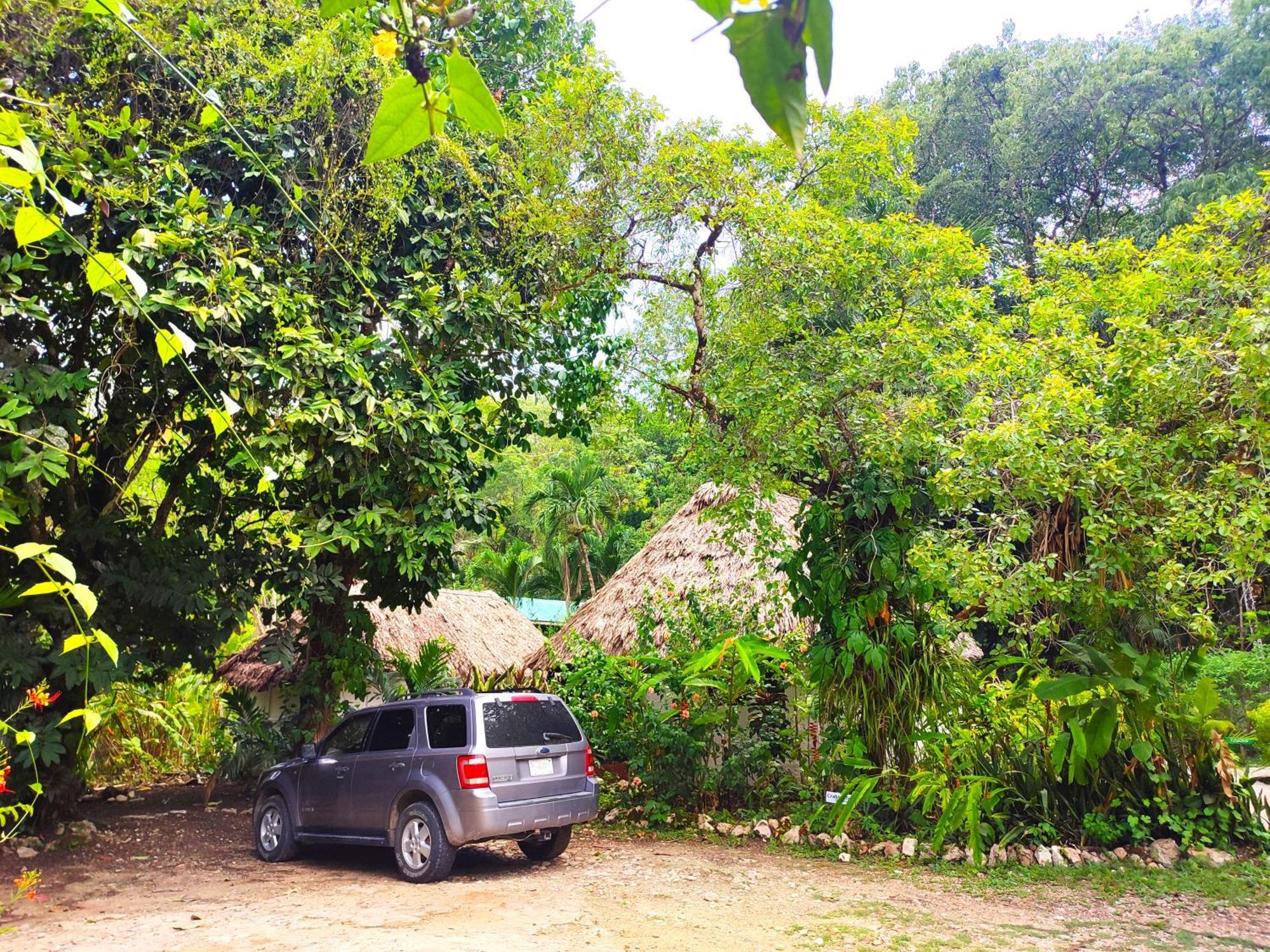 Maya Mountain Lodge San Ignacio Extérieur photo