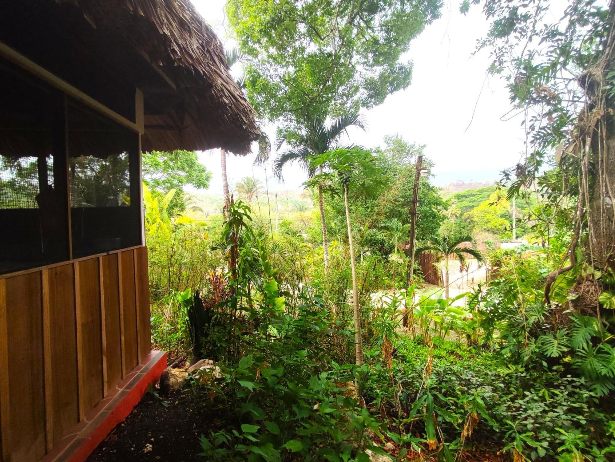 Maya Mountain Lodge San Ignacio Extérieur photo