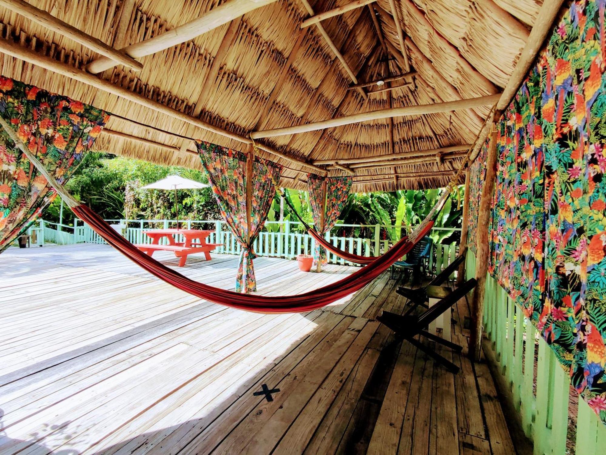 Maya Mountain Lodge San Ignacio Extérieur photo