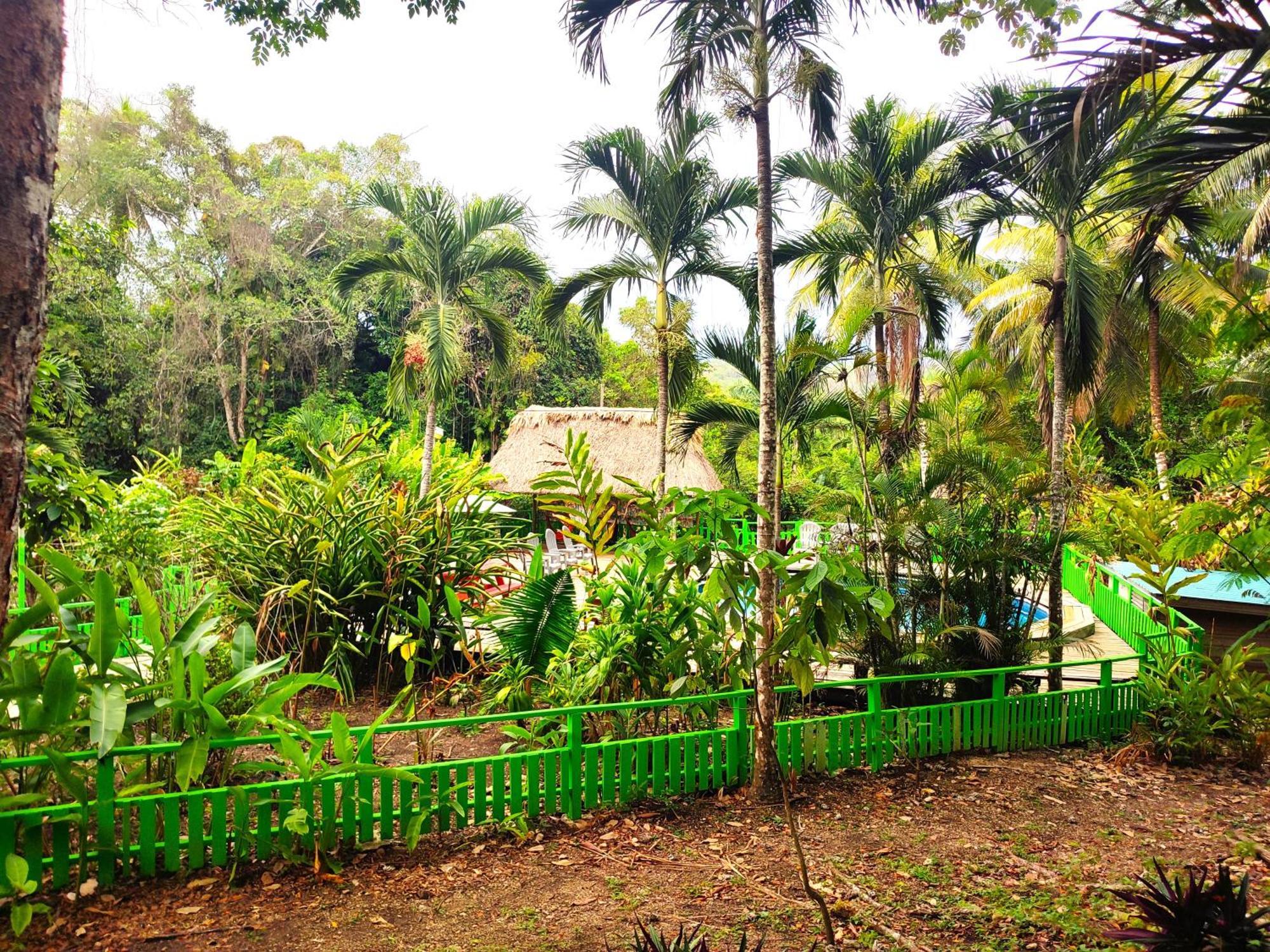 Maya Mountain Lodge San Ignacio Extérieur photo