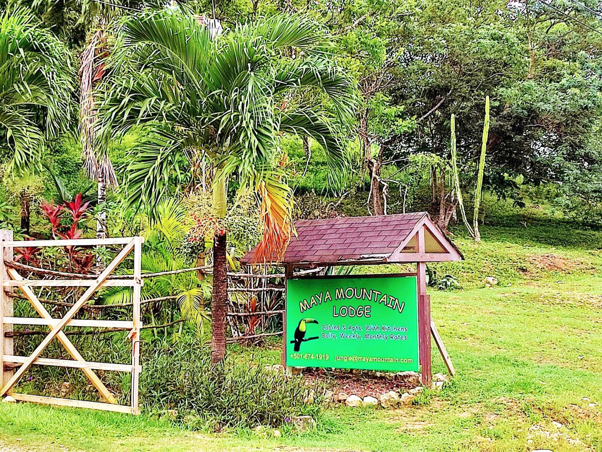 Maya Mountain Lodge San Ignacio Extérieur photo