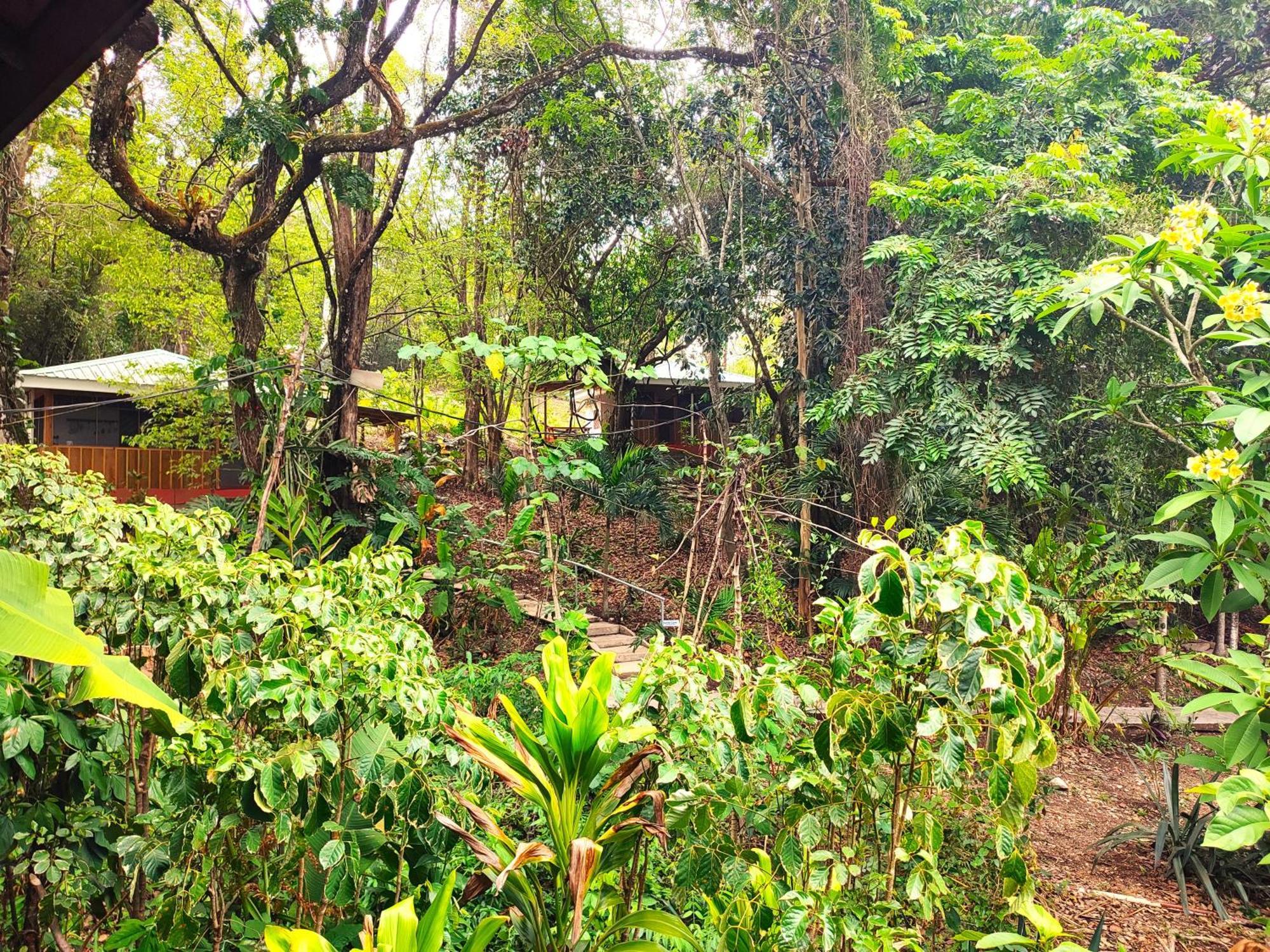 Maya Mountain Lodge San Ignacio Extérieur photo