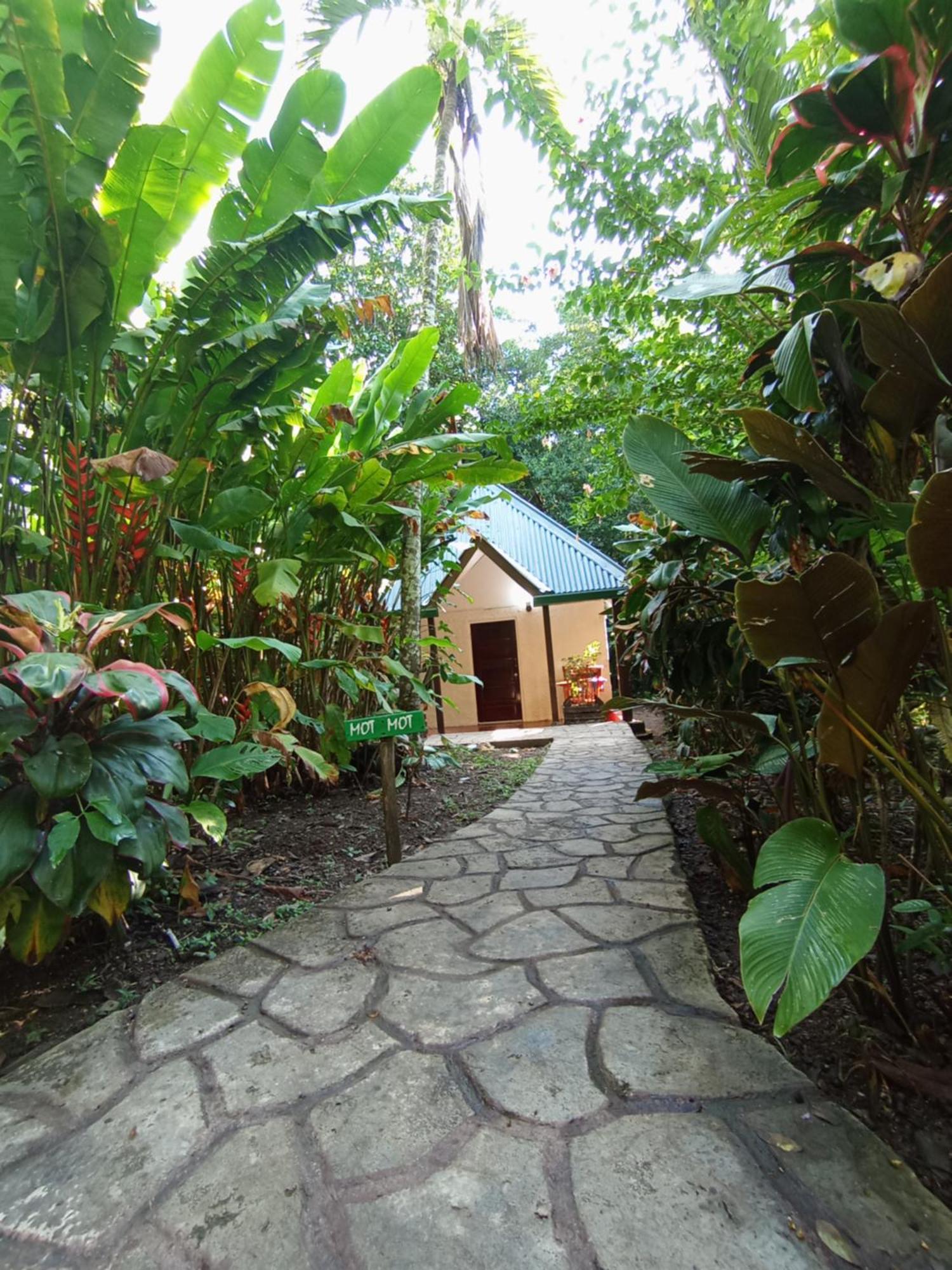 Maya Mountain Lodge San Ignacio Extérieur photo